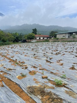 SANG NHƯỢNG 500M2 ĐẤT VIEW NÚI CỰC CHILL, GIÁ CHỈ 2 TỶ, TẠI VÂN HÒA, BA VÌ, HN