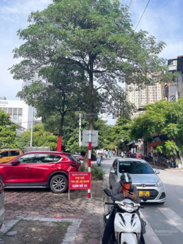 Bán đất 467 Lĩnh Nam 60m2 MT 4m 2 bước ra ô tô tránh