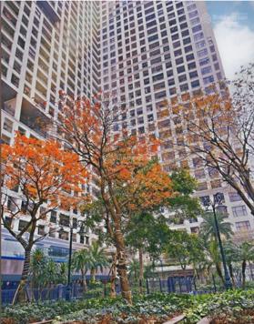 Bán căn 2 ngủ trung tâm Hà Nội 4.2 tỷ 80m2 phố Minh Khai - Sunshine Palace