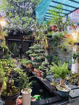 Bán biệt thự sân vườn Trịnh Công Sơn 98m2xMT 4m, ngõ thông, gần phố, 3 bước chân ra Hồ Tây giá 16tỷ