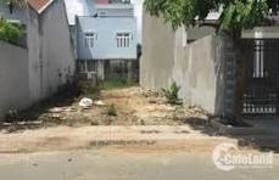 Bán Đất xã Bắc Hồng, huyện Đông Anh 50m2 sổ đỏ vuông vắn