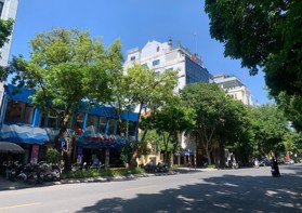 Biệt thự Pháp Cổ loại 1 Phố Trần Hưng Đạo - Hoàn Kiếm, 764m2 x 2 tầng, MT 29m, 1 sổ, chỉ 720 tỷ
