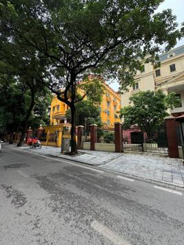 BÁN NHÀ CHÍNH CHỦ PHỐ LÝ NAM ĐẾ HOÀN KIẾM 45M 5 TẦNG OTO ĐỖ GIÁ 13.8 TỶ CÓ TL