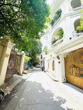 Bán Biệt Thự CẦU GIẤY HN 