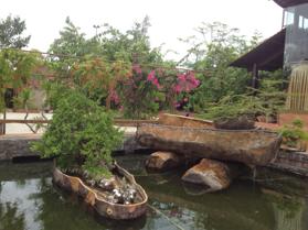 Dự án Vĩnh Lộc Garden