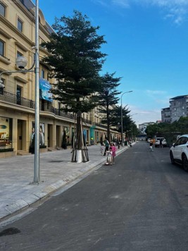 Cần bán căn góc mặt ngõ 168 Nguyễn Xiển, 117m2, mt6m giá 38 tỷ