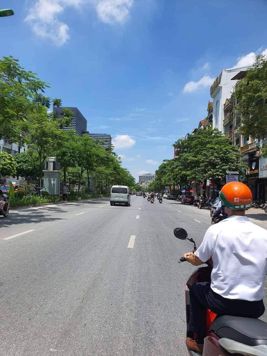 SIÊU PHẨM BÁN NHÀ LÔ GÓC MẶT PHỐ XÃ ĐÀN - 448M2 X 5 TẦNG - KHOẢNG 275 TỶ