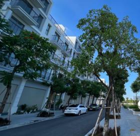 Chính chủ bán gấp căn shophouse 75m2, view cv cực đẹp. Giá 23,5 tỷ