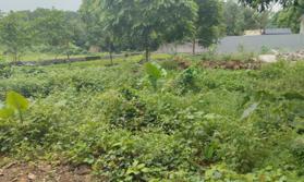 Nhỉnh 2tỷ siêu phẩm nghỉ dưỡng 400m2, 200m2 thổ cư tại thôn Đông Nam Xã Nam Phương Tiến Chương Mỹ