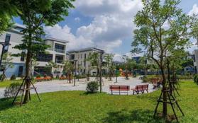 Bán biệt thự phân khu đẹp nhất An Quý khu đô thị Dương Nội giá trực tiếp chủ đầu tư Nam Cường