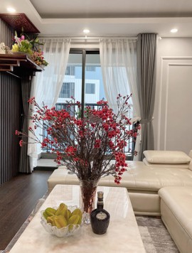 Bán căn hộ 3PN chung cư Imperia Sky Garden 423 Minh Khai đủ nội thất