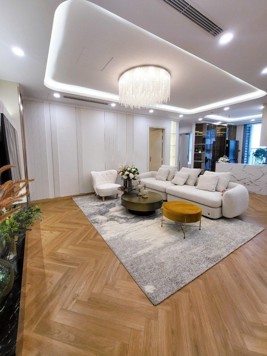 Cần bán căn hộ đập thông Park Hill, diện tích gần 200m2