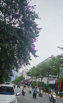 MẶT PHỐ TRẦN THÁI TÔNG - CẦU GIẤY, DOANH THU KHỦNG, VỈA HÈ ĐÁ BÓNG, 2 THOÁNG, THANG MÁY NHẬP KHẨU.