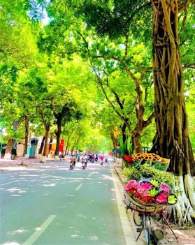 Cần bán nhà mặt phố Phan Đình Phùng 200m2 MT 7m