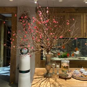 CĂN HỘ AMBER RIVERSIDE - VỊ TRÍ ĐẮC ĐỊA - 150M2 - KHOẢNG 11 TỶ