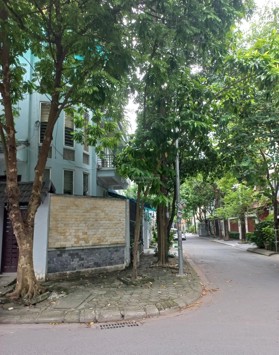 Cho thuê BTLK khu đô thị Yên Hòa - ngõ 12 Trần Kim Xuyến đi vào, DTSD 80m2 * 4 tầng + hầm. Giá 32tr