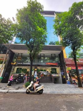 Đống Đa, Hỗ Ba Mẫu, Xã Đàn 410m2, 2 hầm, 8 nổi, giá 226 tỷ