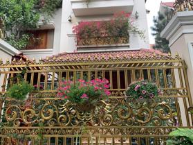 Cần bán biệt thự phố Nguyễn Huy Tưởng - Thanh Xuân, DT 192m2, mặt tiền 12m.