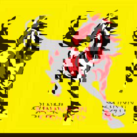 Thông tin địa chỉ Công ty TNHH Đầu tư, Thương mại và Dịch vụ Quinn Hà Nội - LH: 0976897746