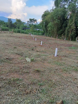 Cần bán đất phân lô xóm Mè Cốm từ 100m tới 260m, Thượng Cốc, Lạc Sơn, Hòa Bình