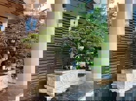 BÁN BIỆT THỰ ĐẶNG THAI MAI  DT 80/100 x 4 tầng x 9m mặt tiền