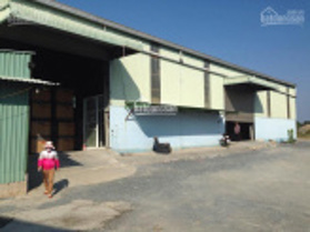 Cho thuê kho, đẹp cao ráo, gần các cụm cảng nằm tại Huỳnh Tấn Phát, Quận 7, liên hệ 0909 511 320