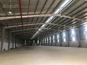 Cho thuê nhà xưởng tiêu chuẩn cao tại KCN Đồ Sơn, Hải Phòng. DT 10485m2