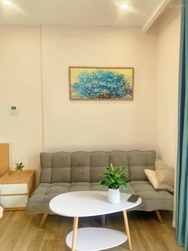 Cho thuê căn hộ studio full đồ 29m2 BC: Nam toà Haven Park Ecopark giá 5,5tr/th. LH 0964 007 130