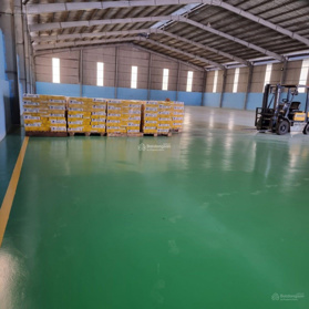 Kho xưởng mới có PCCC tự động KCN Đồ Sơn, 3000 - 33.000m2, khuôn viên độc lập, 50 nghìn/m2/th