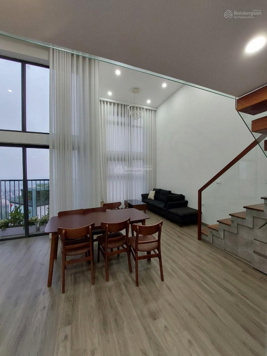 Chính chủ cần cho thuê căn hộ Penhouse 60m2 2PN 2VS tòa Park 1 nhiều tiện ích view cực chill