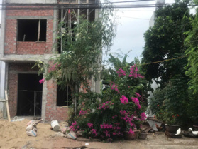 Bán lô HUỳnh Lắm - đường 10m5, cạnh cái nhà đang xây