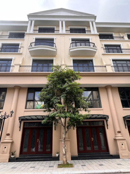 BÁN ĐẢO DỪA KHU VIP VIN 2 - 56M ĐÔNG NAM NHỈNH 8 TỶ