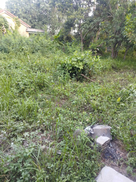 Cho thuê đất làm kho xưởng đường vào mỏ đá Hoà Nhơn