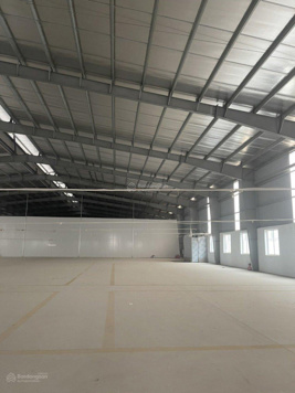 Cho thuê nhà xưởng 2330m2, 2800m2 Khu Công nghiệp Alpha Yên Mỹ, Hưng Yên