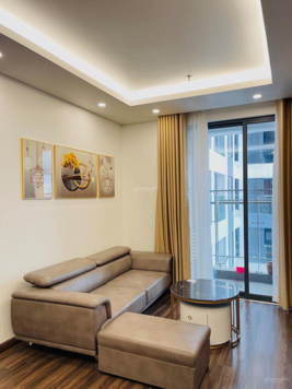 Cho thuê căn hộ 1 ngủ cực đẹp tại chung cư Hoàng Huy Grand Tower, nội thất đầy đủ chỉ việc về ở