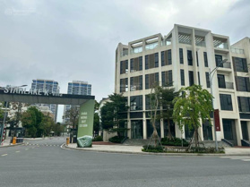 Quỹ căn biệt thự đơn lập - song lập - LK - SH Starlake cần bán gấp hạ giá sâu - siêu rẻ T6/2024