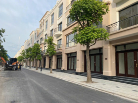 Cho thuê 4 căn LK 75m2 - Cọ Xanh 1 - Đối diện Vinschool kinh doanh cực tốt. Vinhomes Ocean Park 2