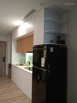 Cho thuê căn hộ Onsen Ecopark 2 ngủ, 2 WC, full nội thất, view hồ, giá 10 triệu/tháng