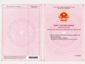 Cực sốc, biệt thự biển, lô góc 300m2, sổ lâu dài, 18 - 23 triệu/m2 đất, sẵn hàng cả xây bán cả nhà