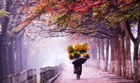 Công chứng giấy tờ tại phố Kim Mã, Ba Đình