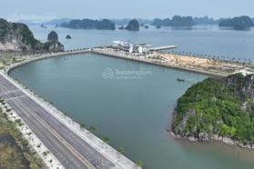 Bán đất lô góc thự mặt vịnh, view vịnh Bái Tử Long, đường bao biển DT 240m2 Đông Nam, giá 45tr/m2