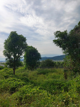 Cần bán đất vườn diện tích 1500m giá 10tr/m sổ đỏ rõ ràng trong Tuần Châu TP Hạ Long QN. 0982 527 666