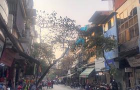 Văn phòng công chứng tại phố Bát Đàn, Hoàn Kiếm - Địa chỉ uy tín