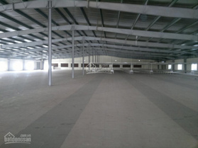 Cần cho thuê xưởng đẹp diện tích 2000m2, 3500m2, 4200m2 đến 10000m2 tại Hải Phòng