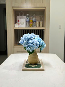 Tổng hợp tháng này: D''Lusso 2PN 12tr nhà có máy lạnh, MNN or full sang trọng 14tr 0932 139 007