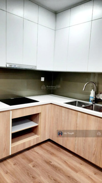 Chính chủ bán căn hộ 2PN tại Imperia Smart City, giá mua rẻ nhất tòa chỉ 3.45 tỷ. LH 0981 599 382