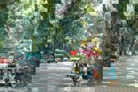 Văn phòng công chứng tại phố Trần Xuân Soạn, Hai Bà Trưng – Miễn phí dịch vụ tại nhà