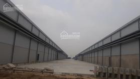 Cho thuê 2 xưởng 2000m2 và 5000m2 gần KCN Tràng Duệ, có hệ thống PCCC tự động