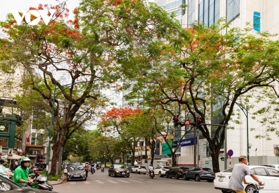 Bạn đang tìm Văn phòng công chứng tại phố Cao Đạt, Hai Bà Trưng?