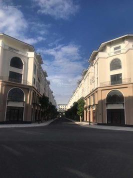 Lỗ hổng kinh tế, Biệt thự VINHOMES giá chỉ từ 115 triệu/m2 đất. đa rạng quỹ hàng Cọ Xanh San Hô Đ D